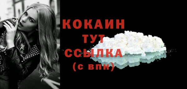 твердый Богородицк