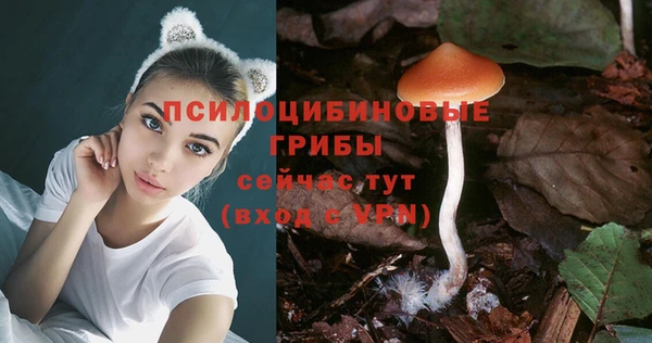 марки lsd Богданович
