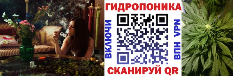 Шишки марихуана THC 21%  Купить где  Нижняя Тура 